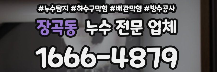 장곡동 누수 전문 업체