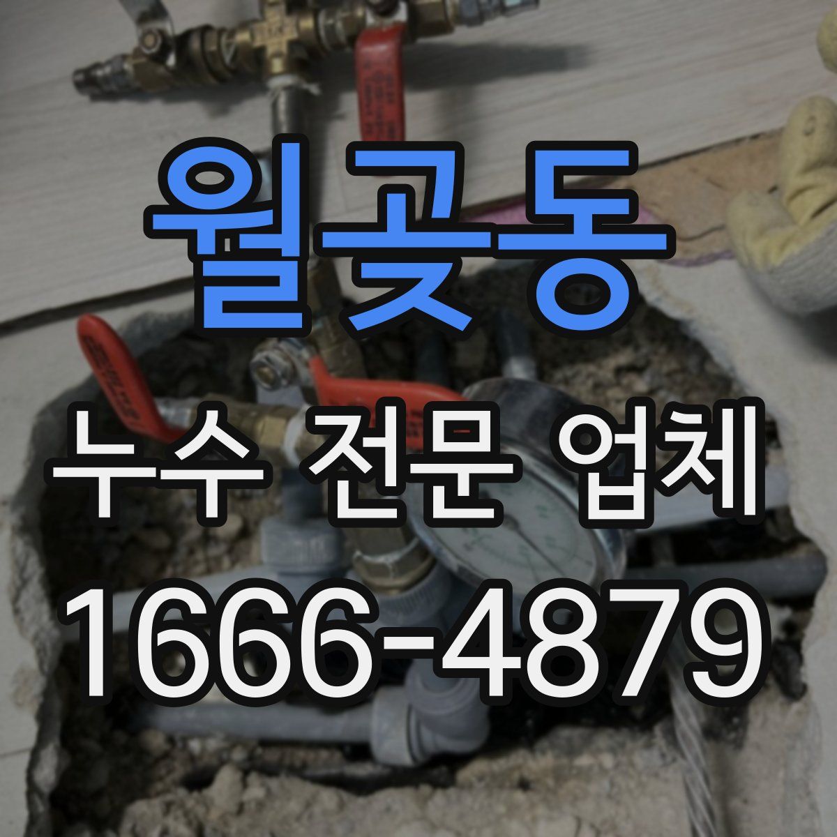 월곶동 누수 전문 업체