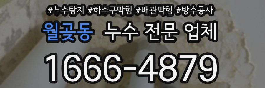 월곶동 누수 전문 업체