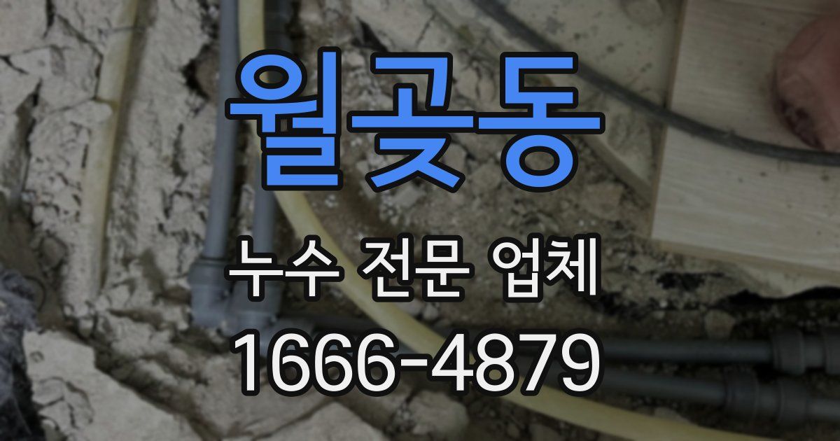 월곶동 누수 전문 업체