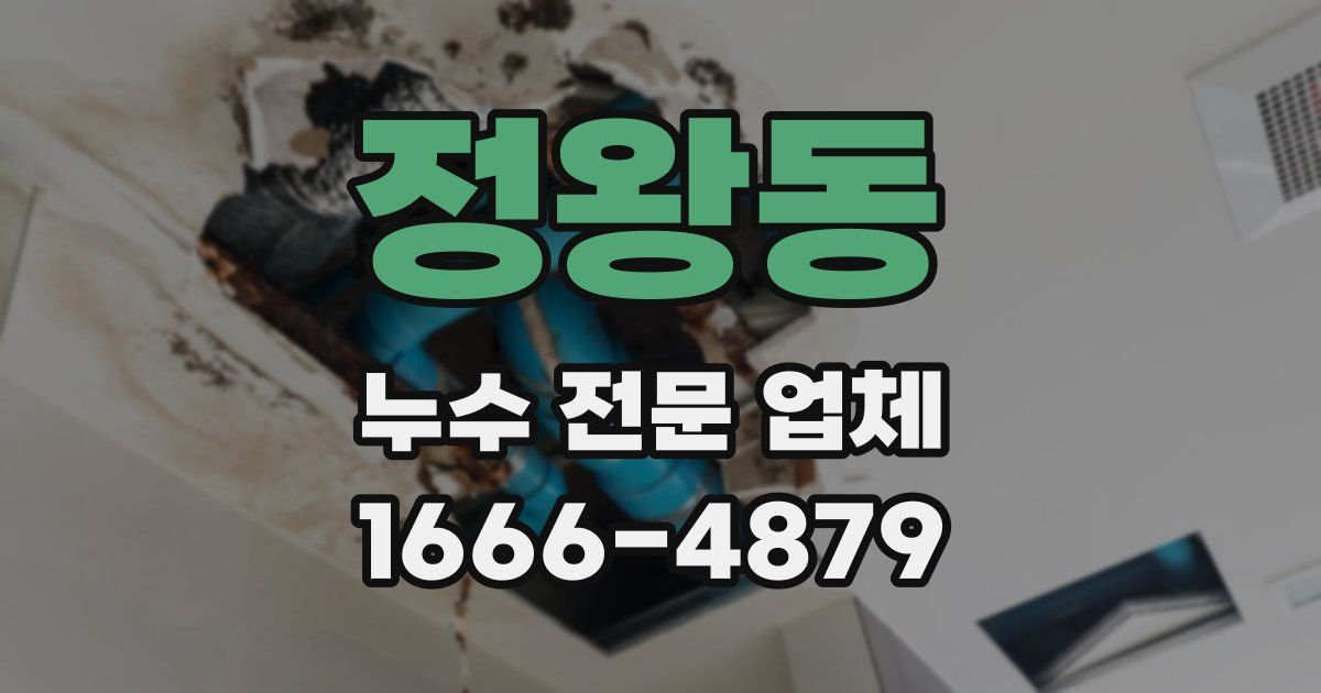 정왕동 누수 전문 업체