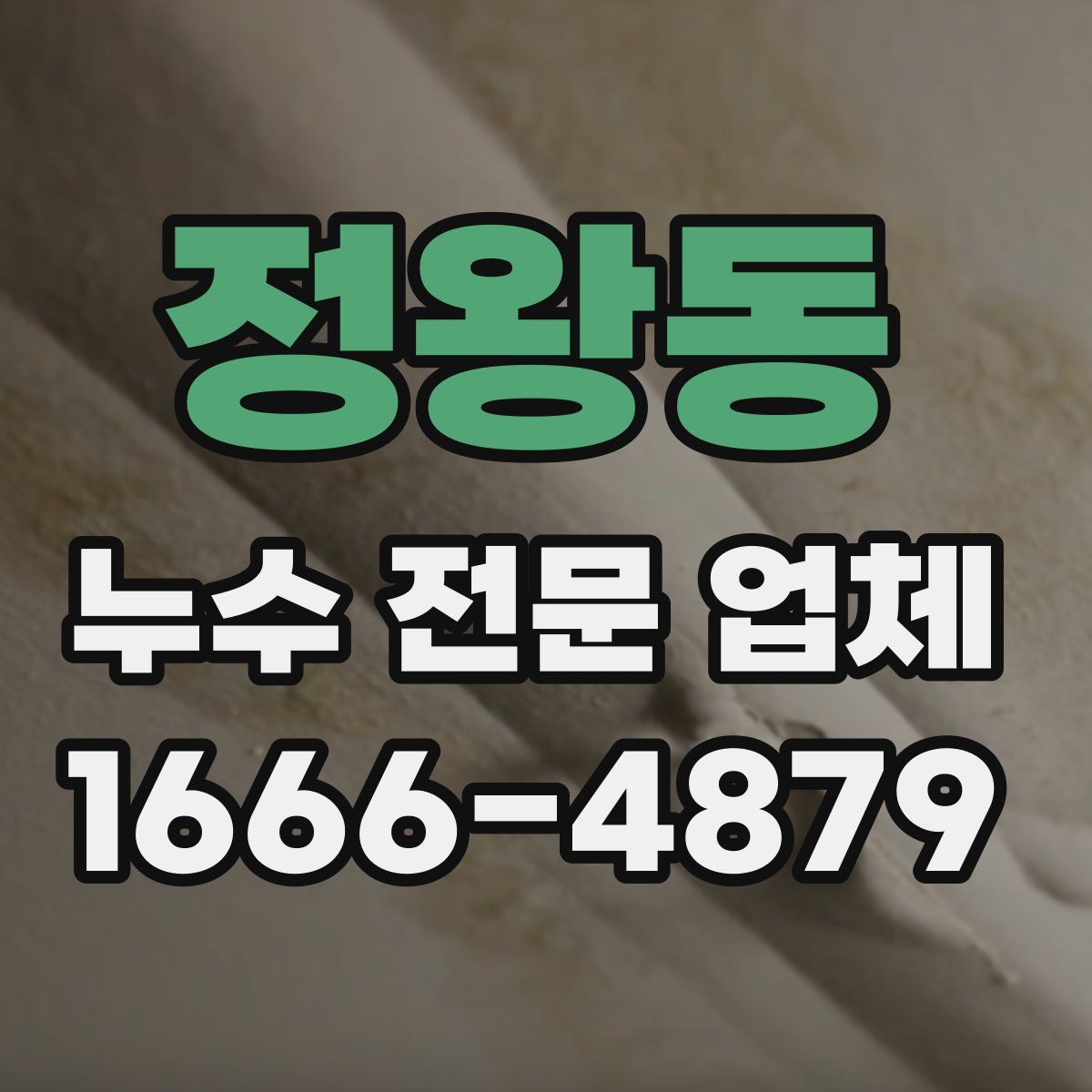 정왕동 누수 전문 업체