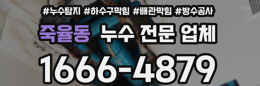 죽율동 누수 전문 업체