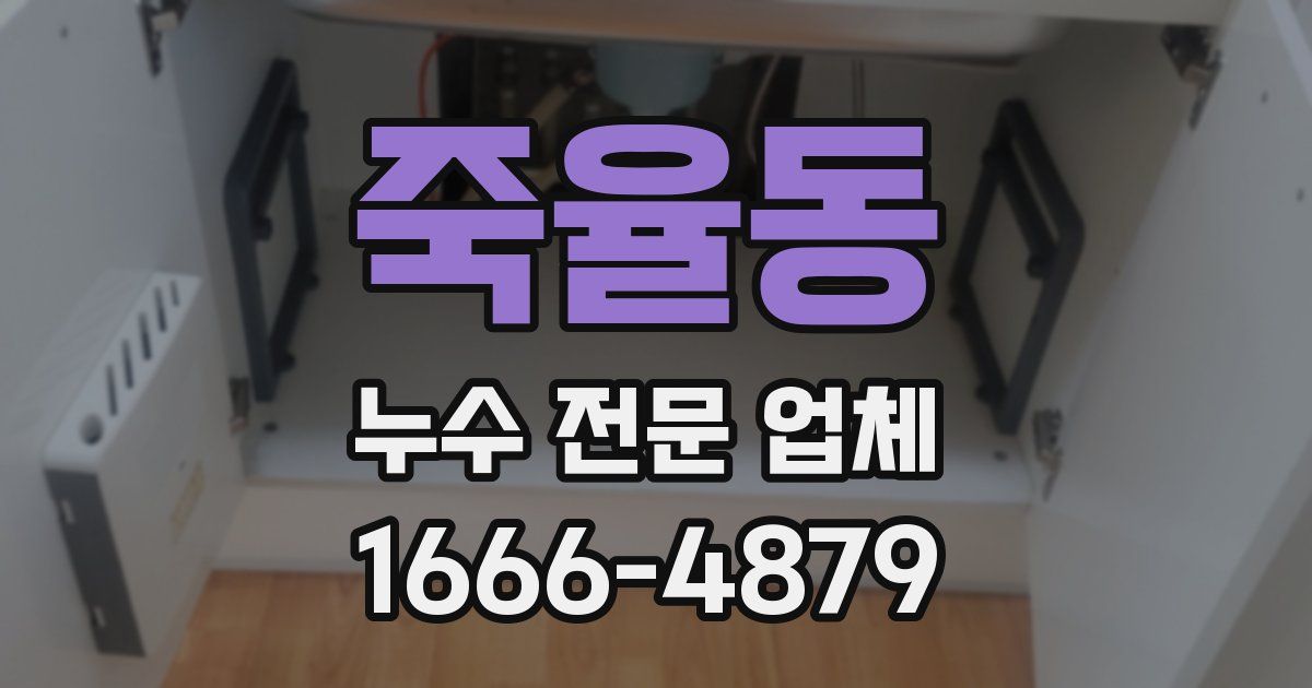 죽율동 누수 전문 업체