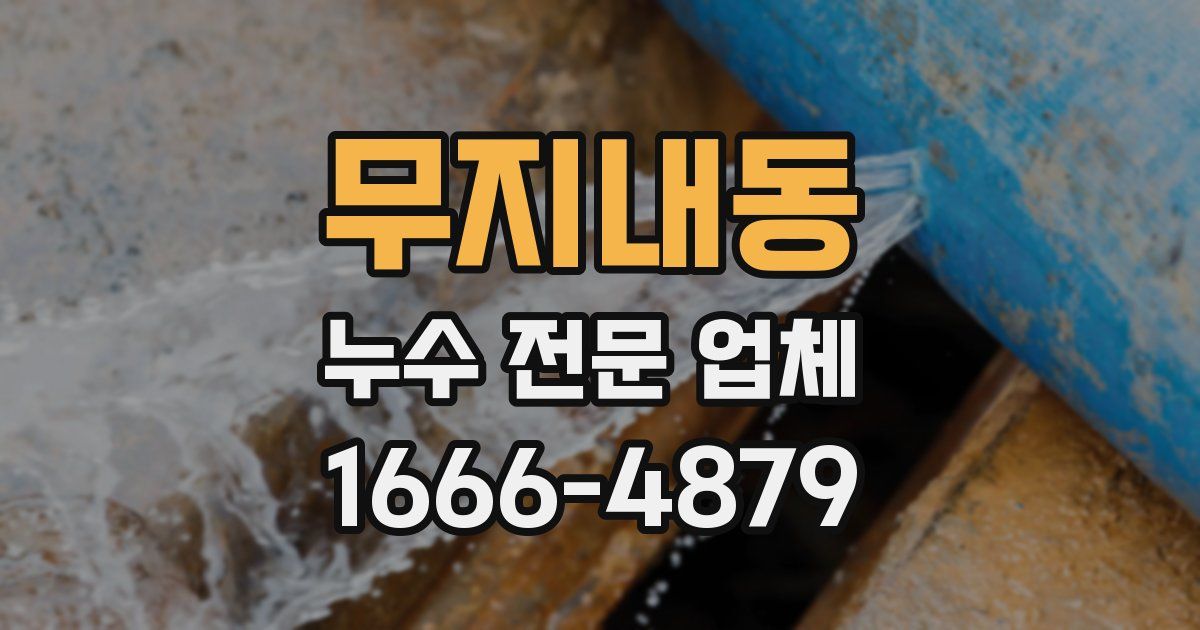 무지내동 누수 전문 업체