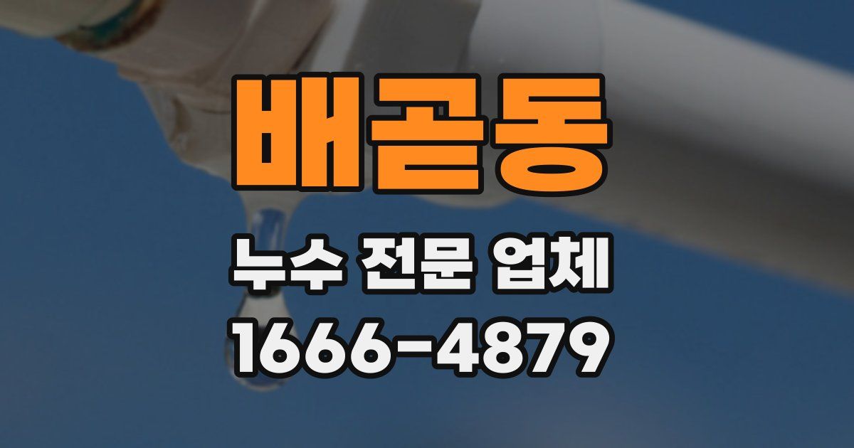 배곧동 누수 전문 업체