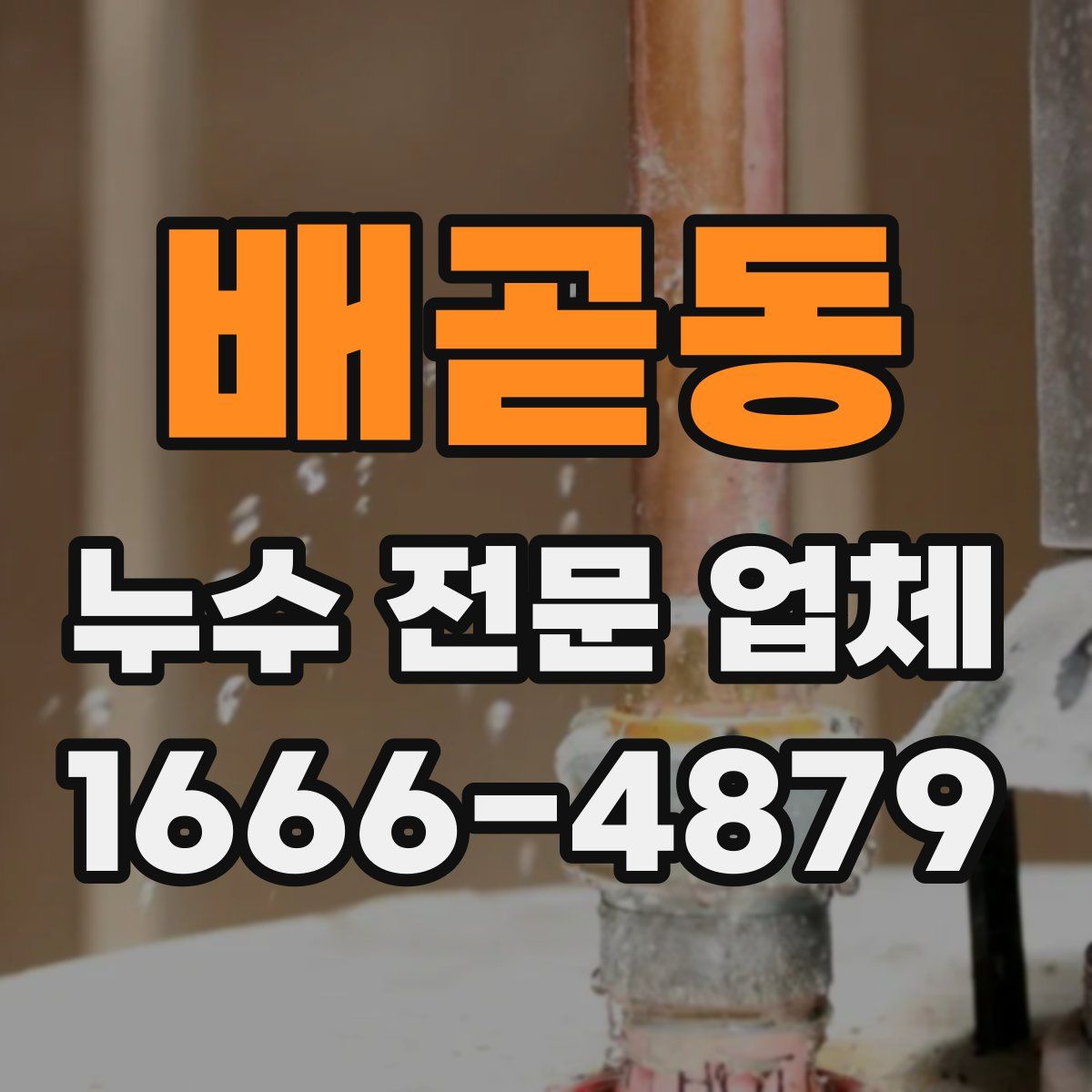 배곧동 누수 전문 업체