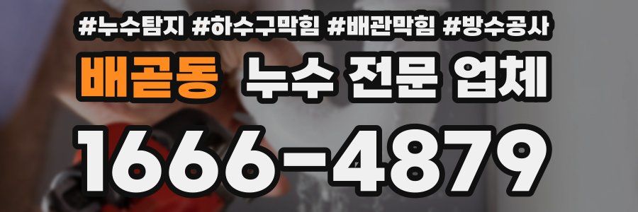 배곧동 누수 전문 업체