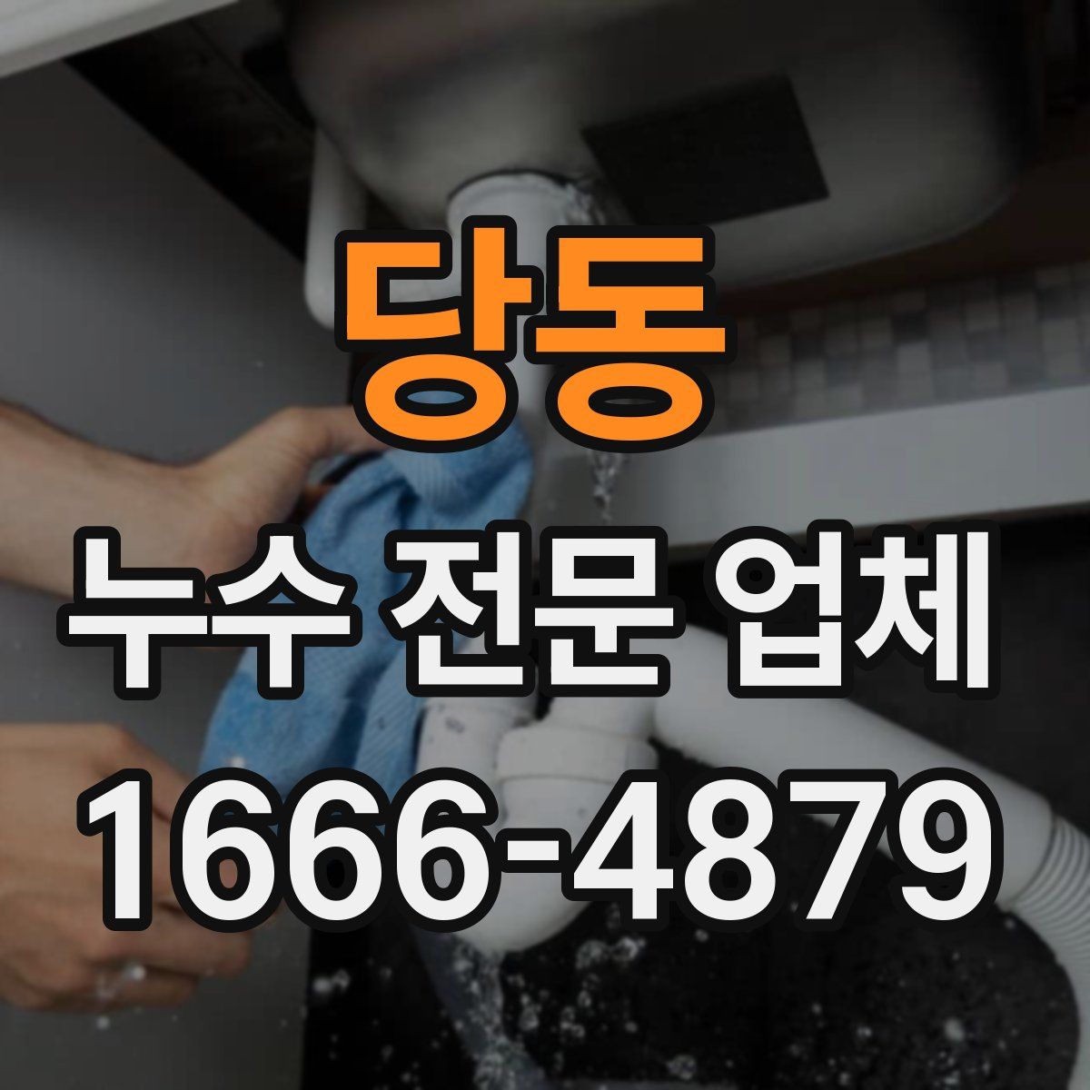 당동 누수 전문 업체