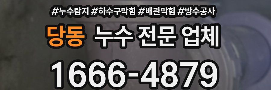당동 누수 전문 업체