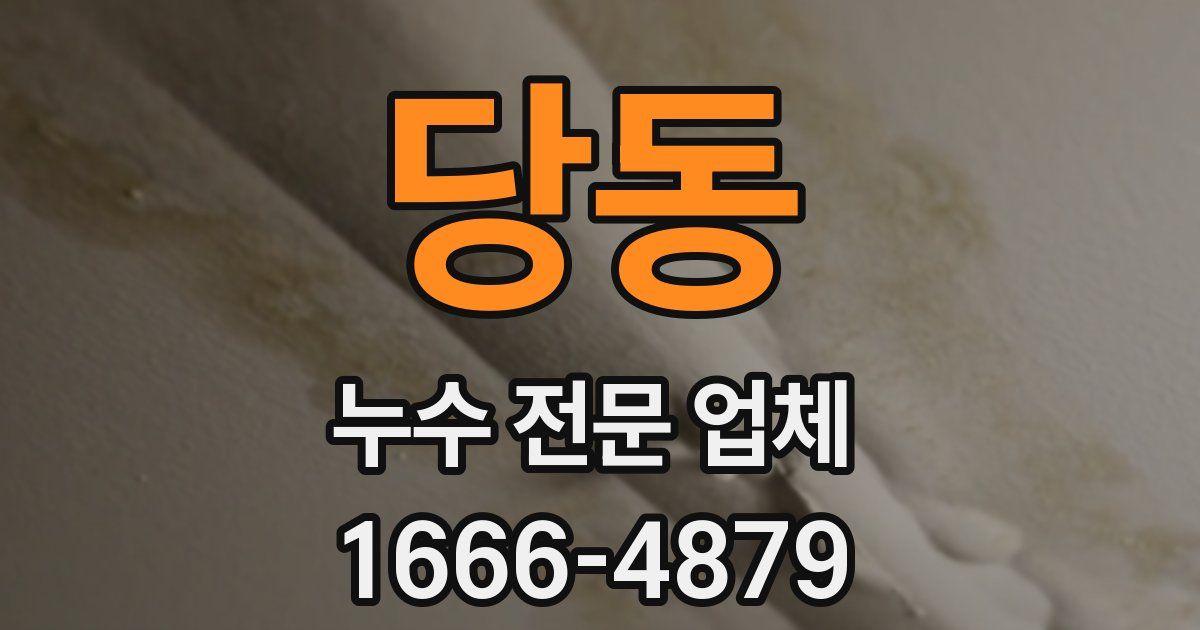 당동 누수 전문 업체