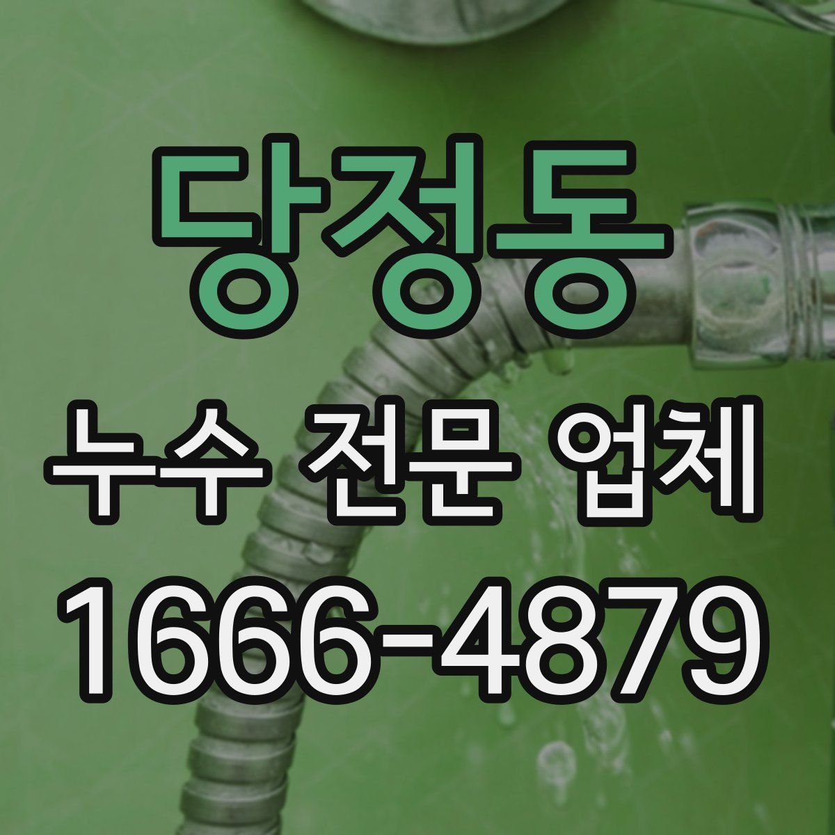 당정동 누수 전문 업체