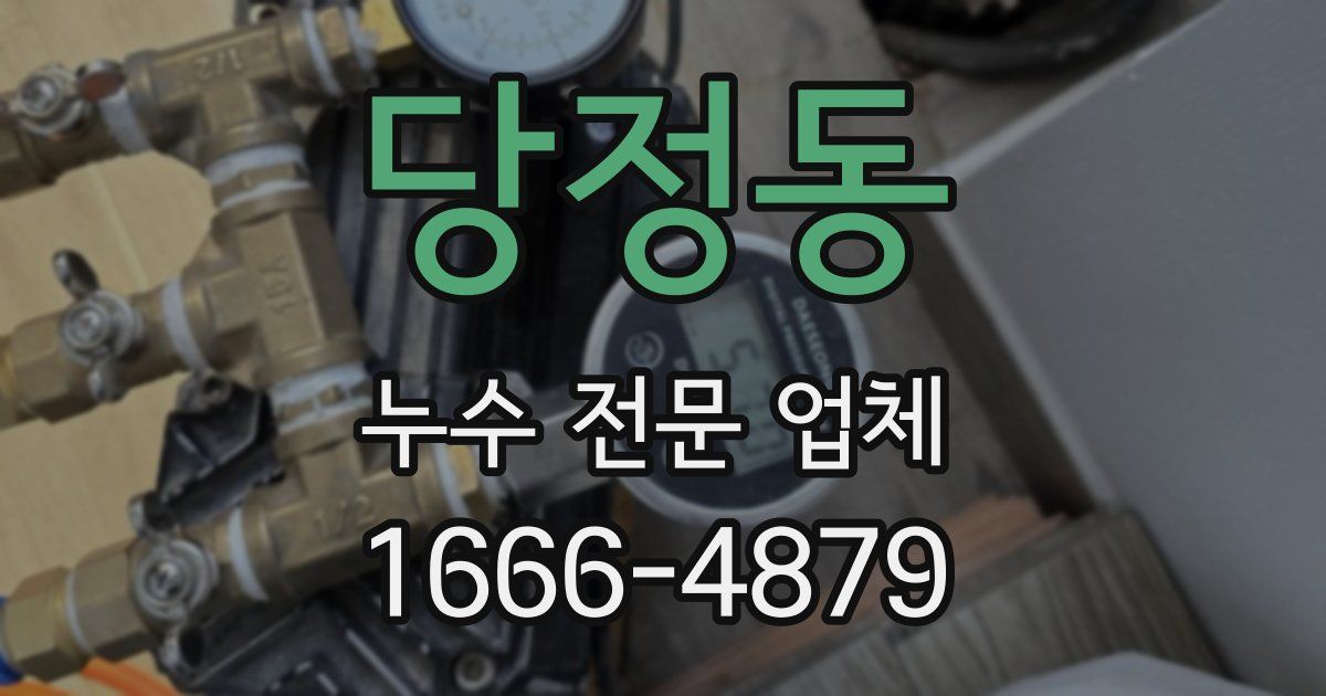 당정동 누수 전문 업체