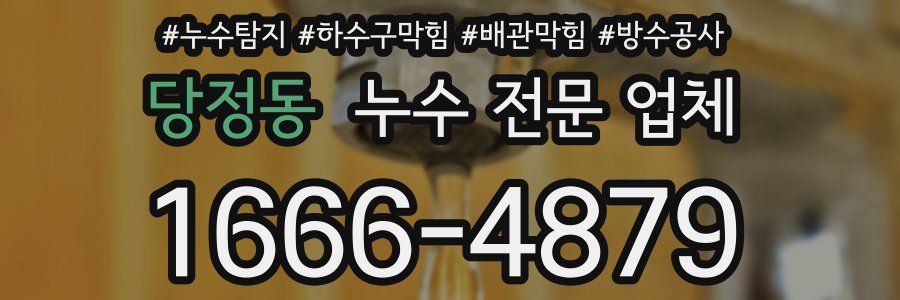 당정동 누수 전문 업체