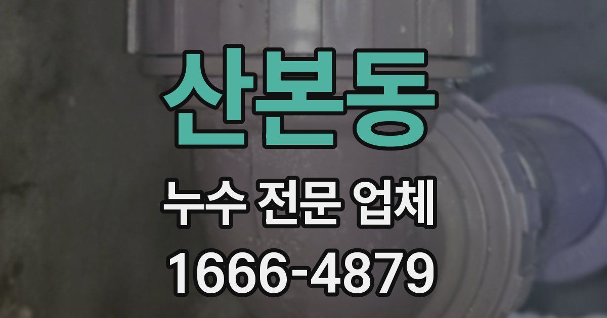 산본동 누수 전문 업체