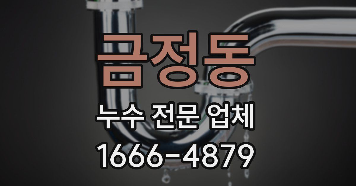 금정동 누수 전문 업체