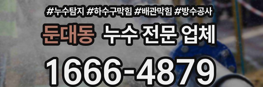 둔대동 누수 전문 업체
