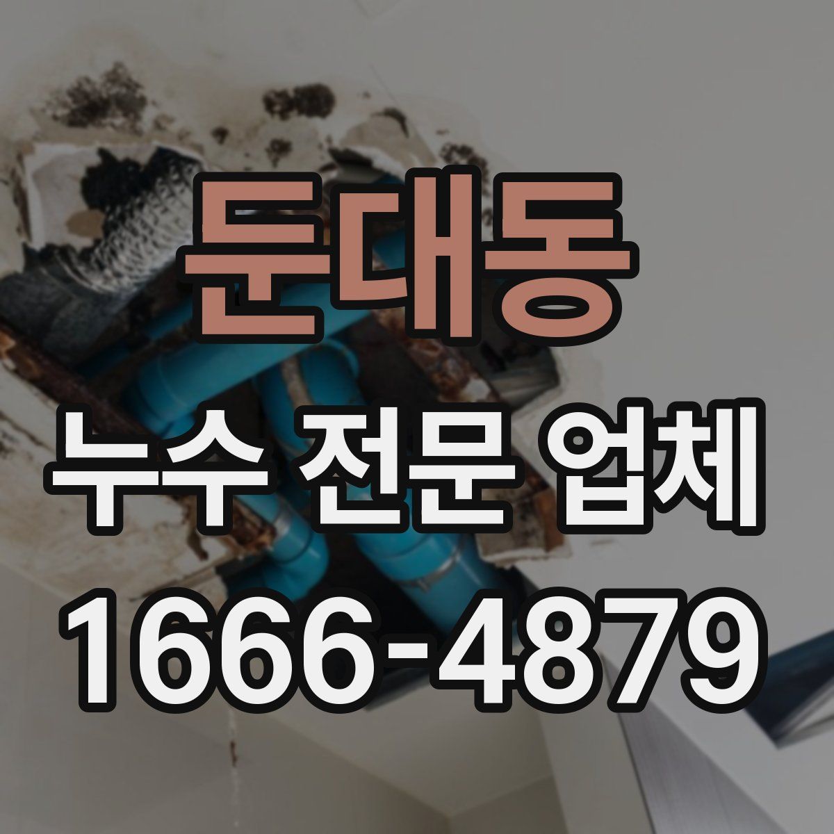 둔대동 누수 전문 업체