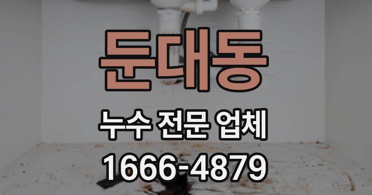 둔대동 누수 전문 업체
