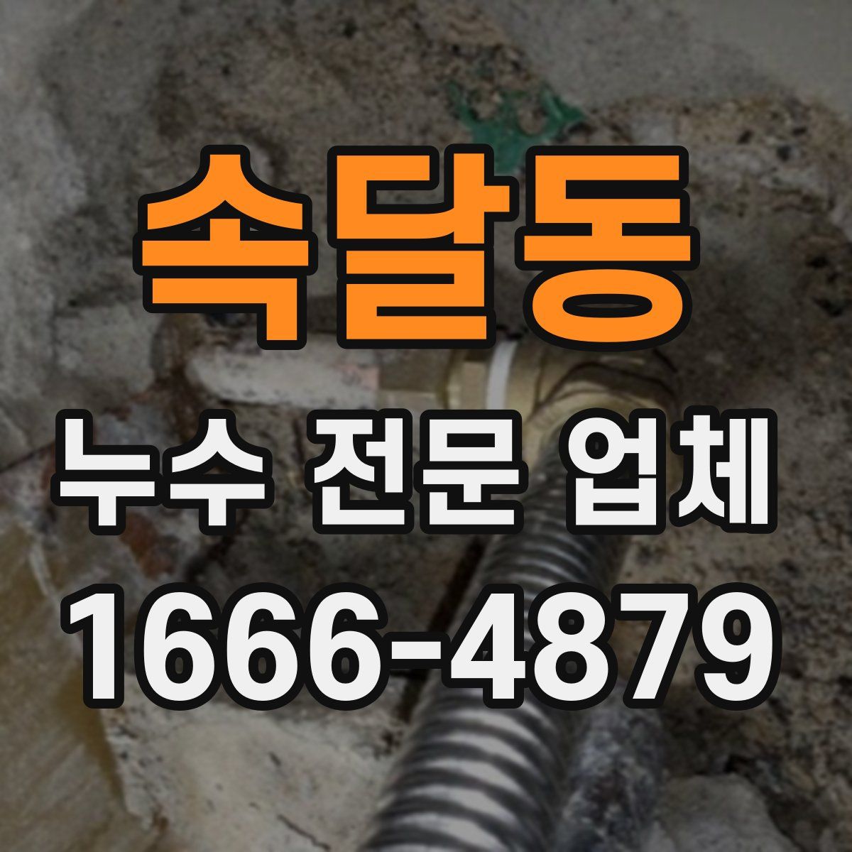 속달동 누수 전문 업체