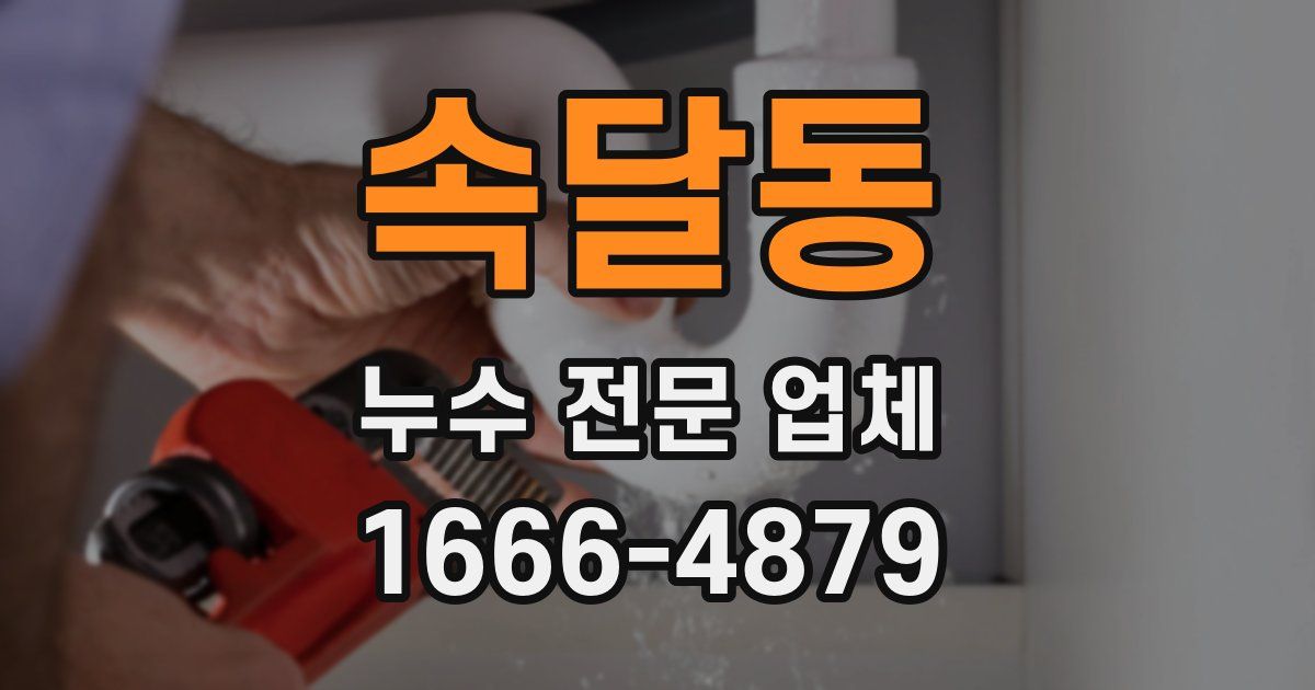 속달동 누수 전문 업체