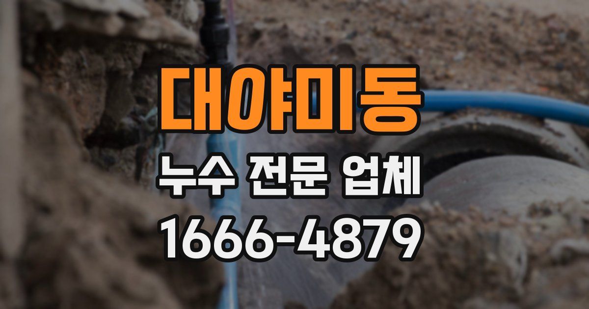 대야미동 누수 전문 업체