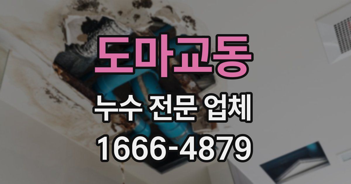 도마교동 누수 전문 업체