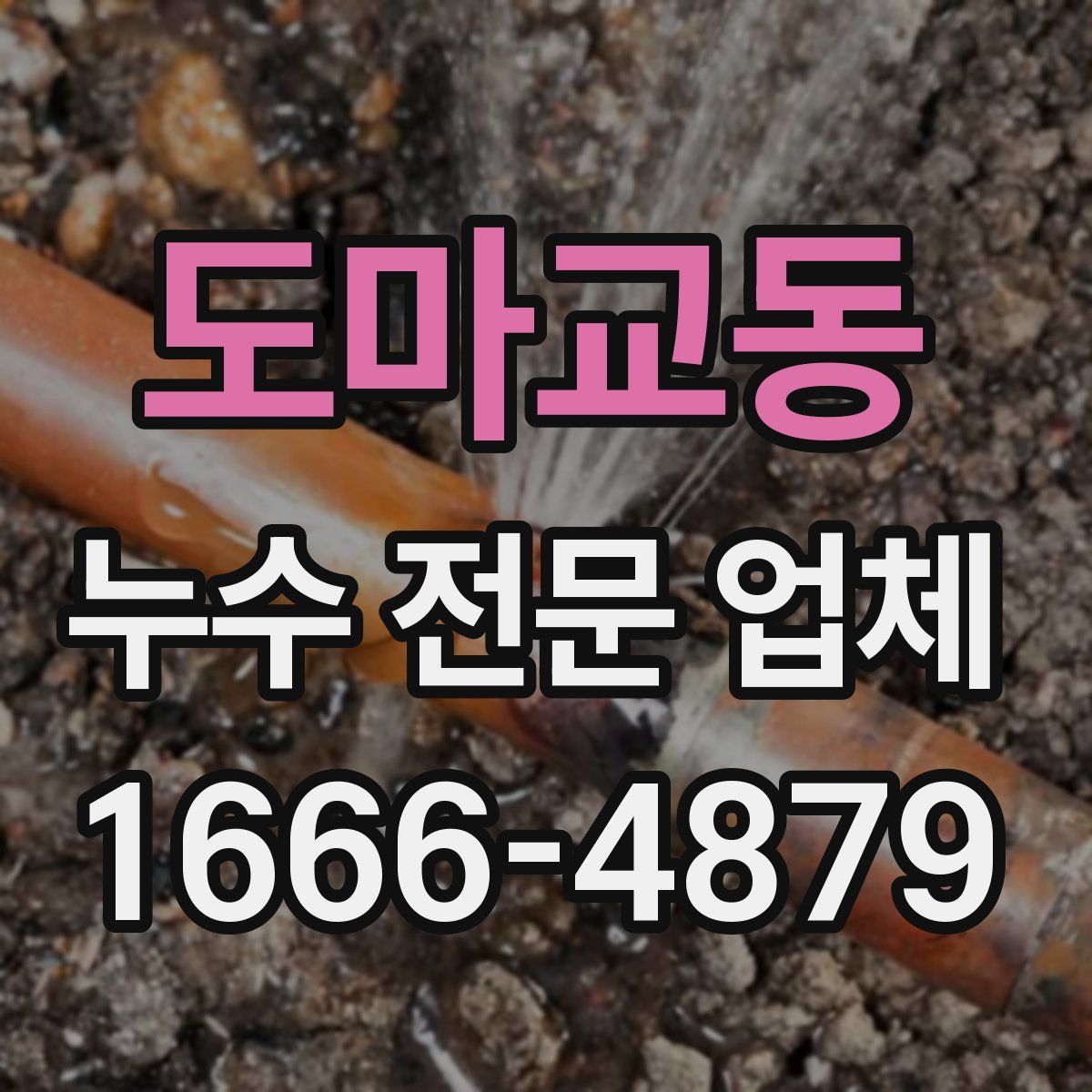 도마교동 누수 전문 업체