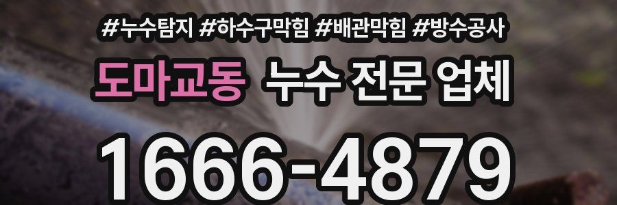 도마교동 누수 전문 업체