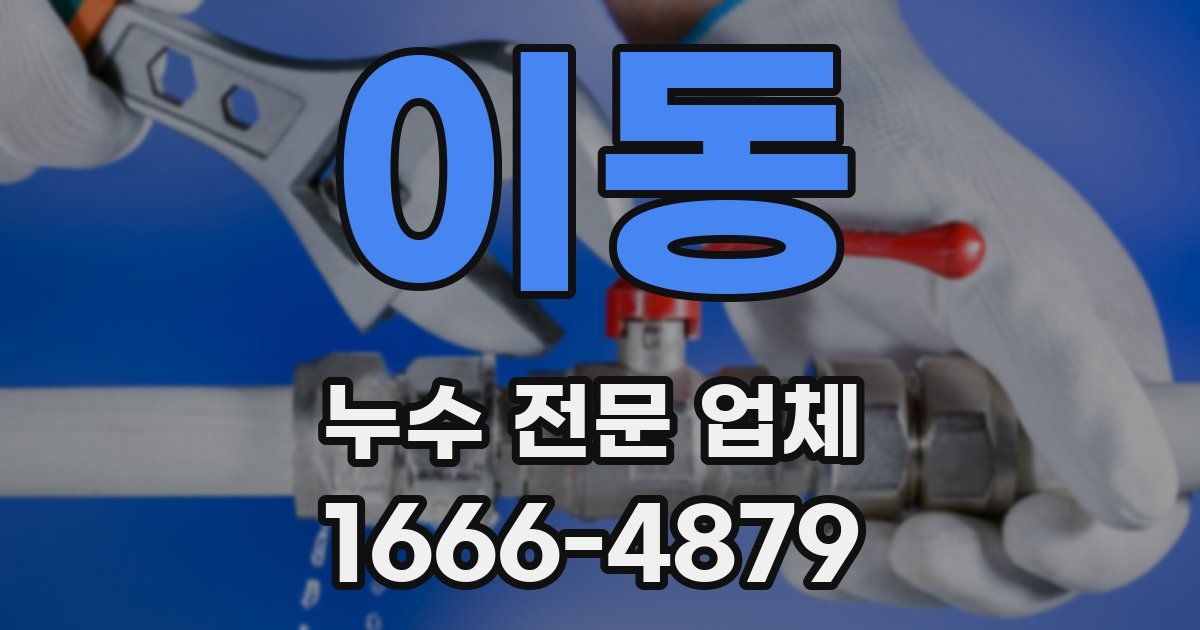 이동 누수 전문 업체