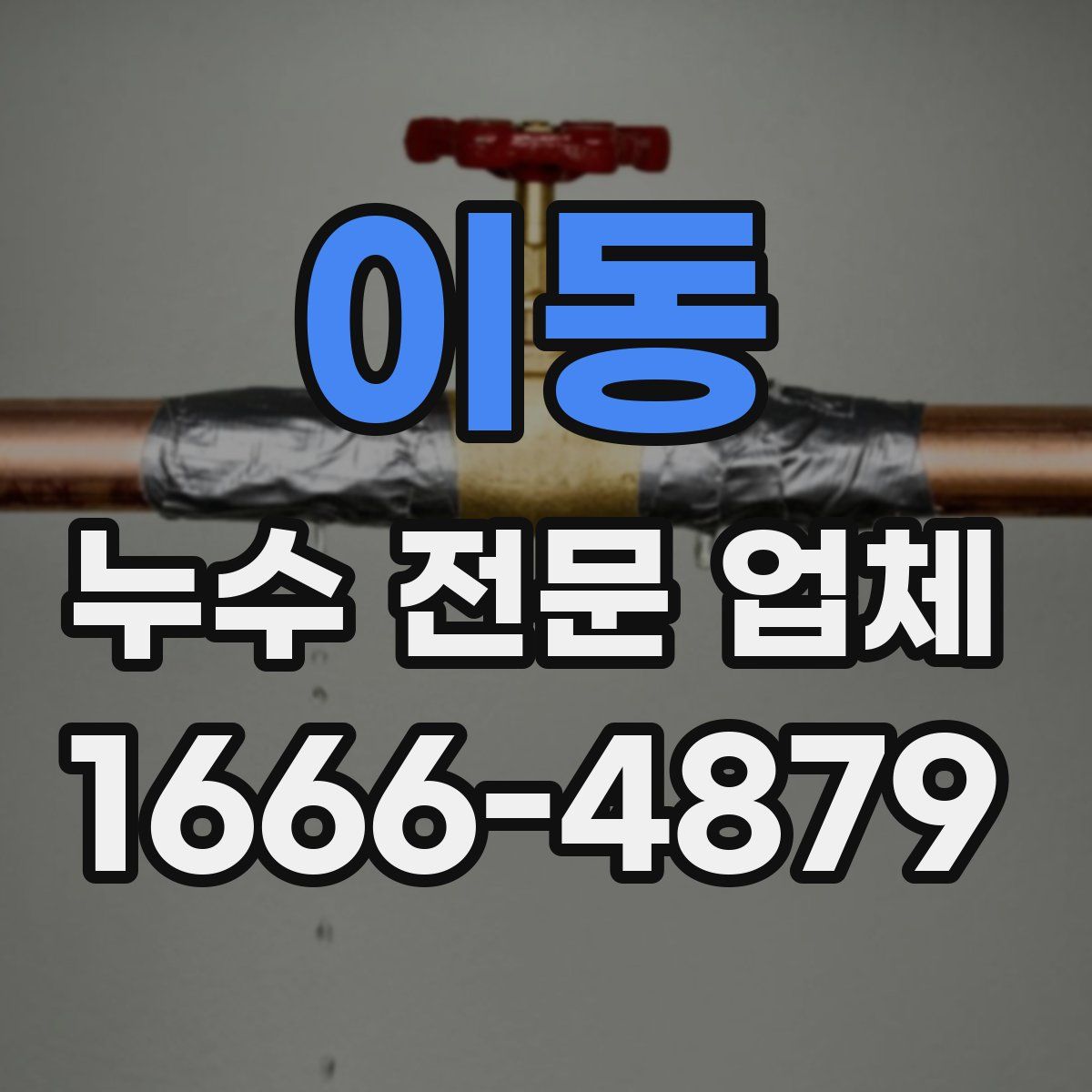 이동 누수 전문 업체
