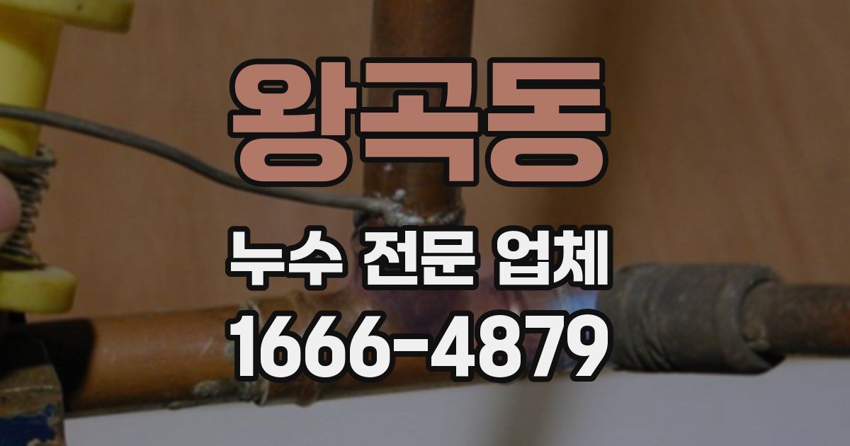 왕곡동 누수 전문 업체