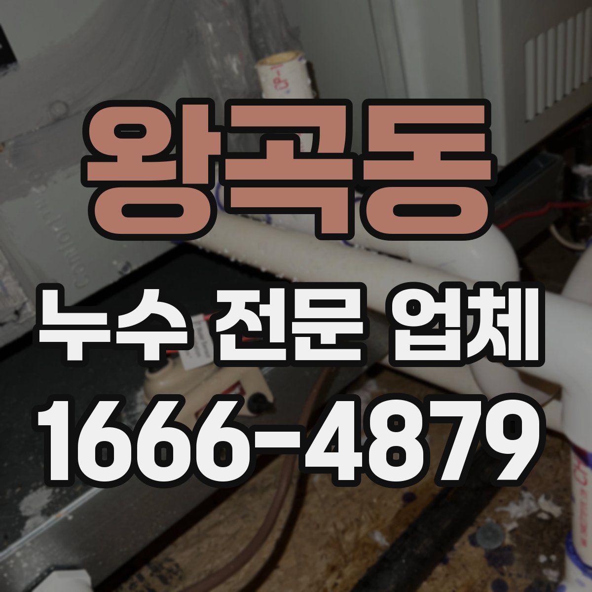 왕곡동 누수 전문 업체