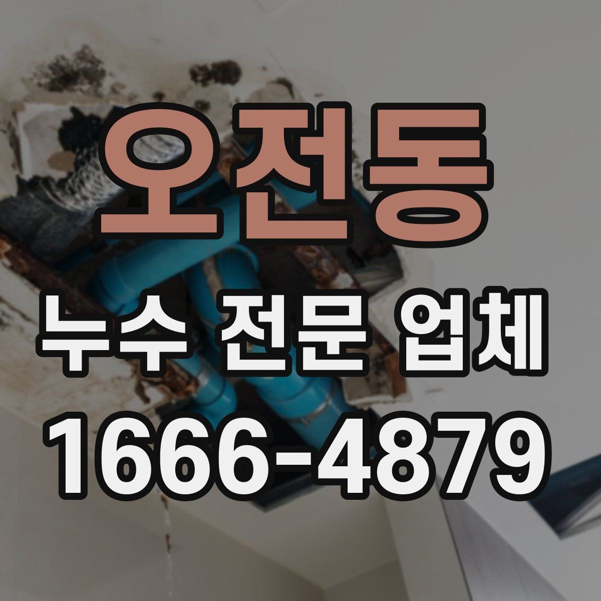 오전동 누수 전문 업체
