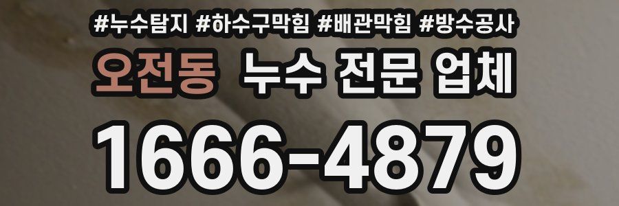 오전동 누수 전문 업체