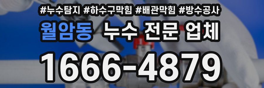 월암동 누수 전문 업체