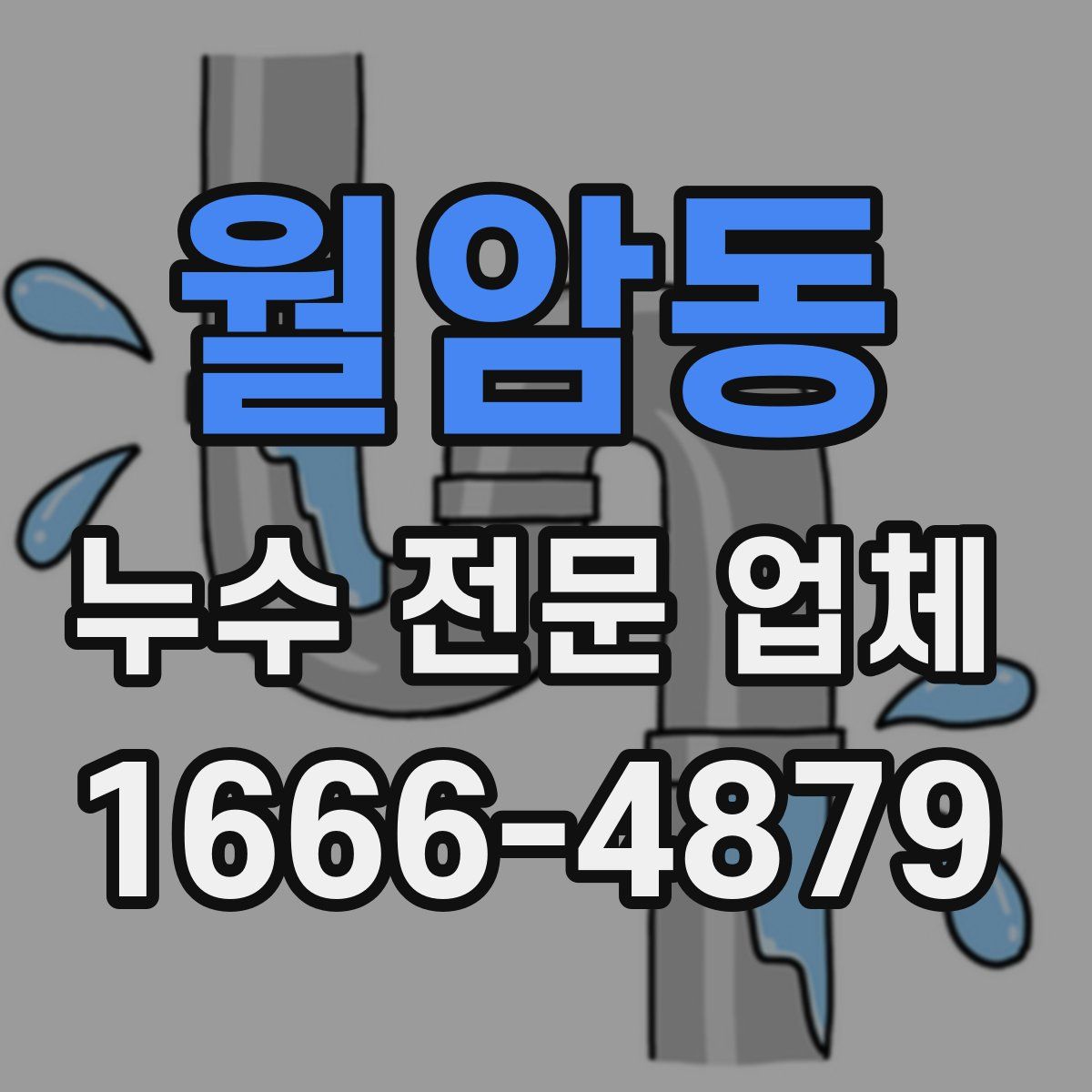 월암동 누수 전문 업체