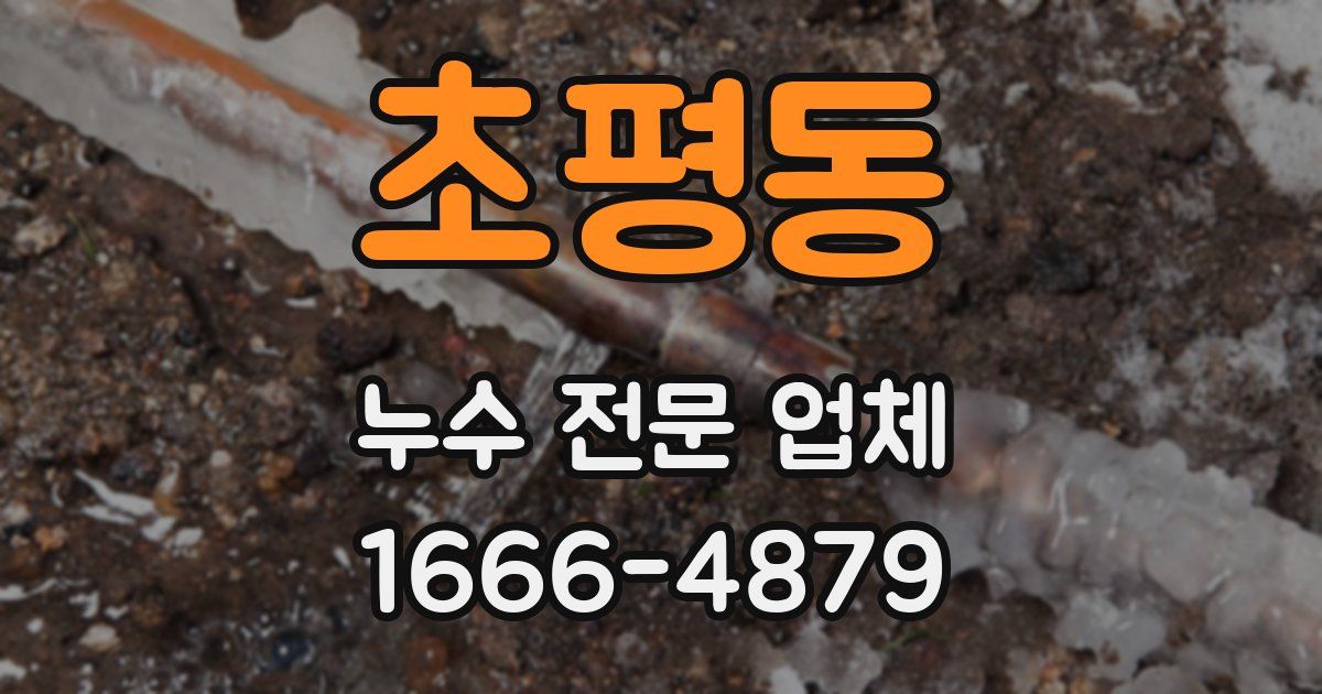 초평동 누수 전문 업체