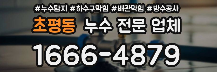 초평동 누수 전문 업체