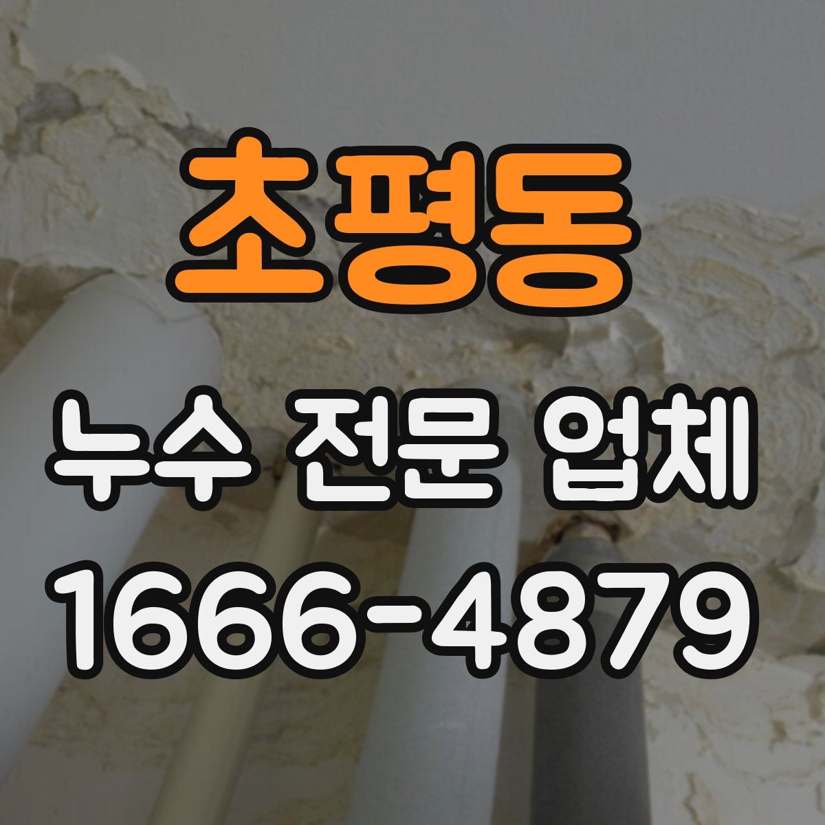 초평동 누수 전문 업체