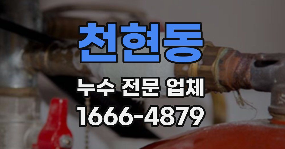 천현동 누수 전문 업체