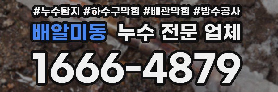 배알미동 누수 전문 업체