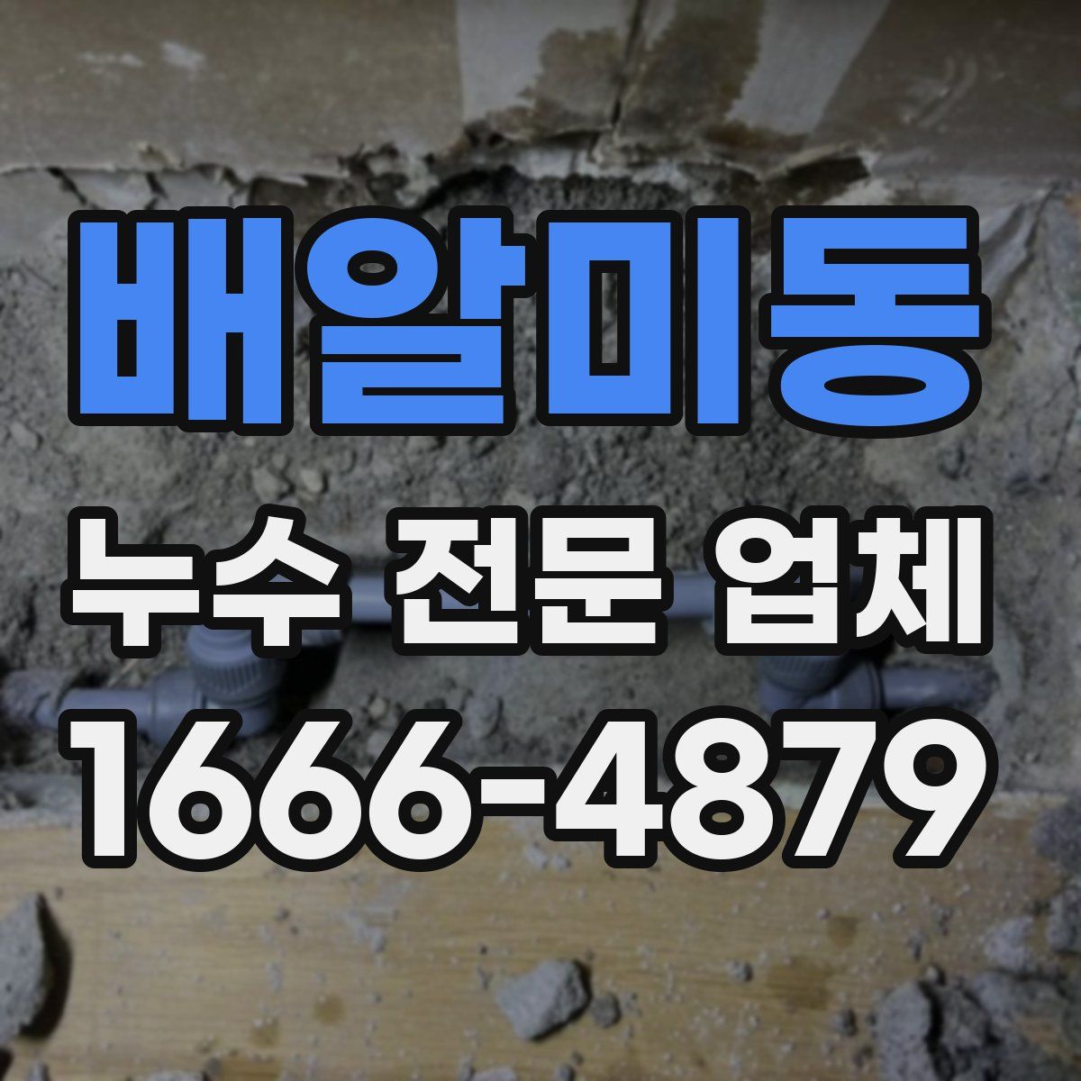배알미동 누수 전문 업체