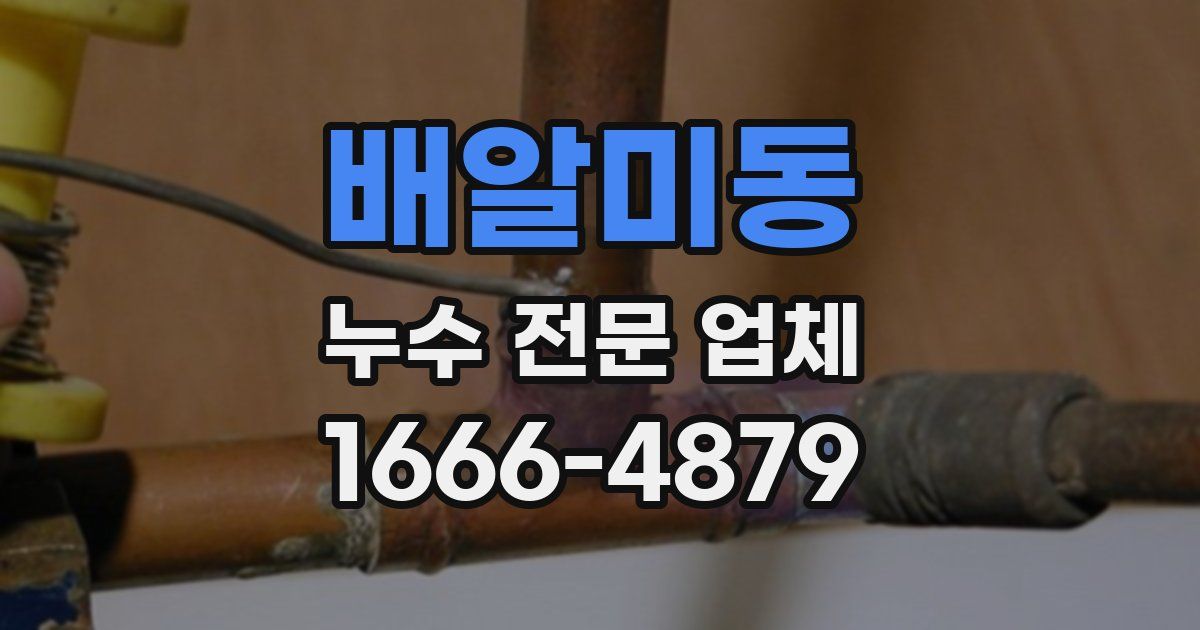 배알미동 누수 전문 업체