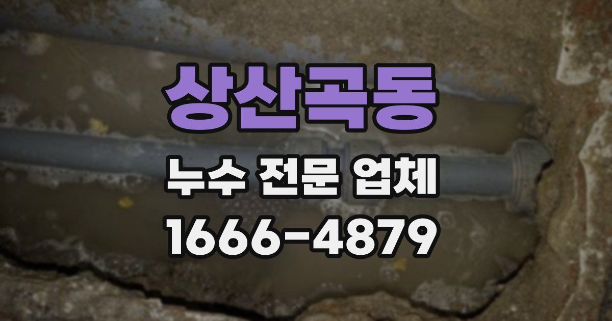 상산곡동 누수 전문 업체