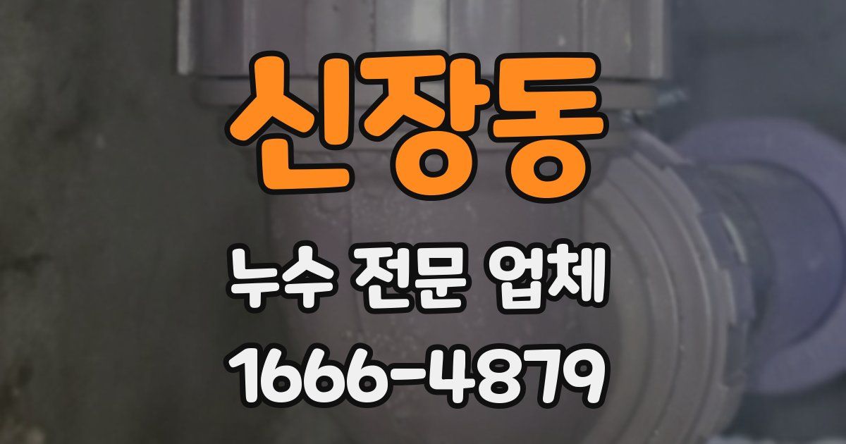 신장동 누수 전문 업체