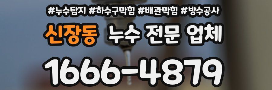 신장동 누수 전문 업체