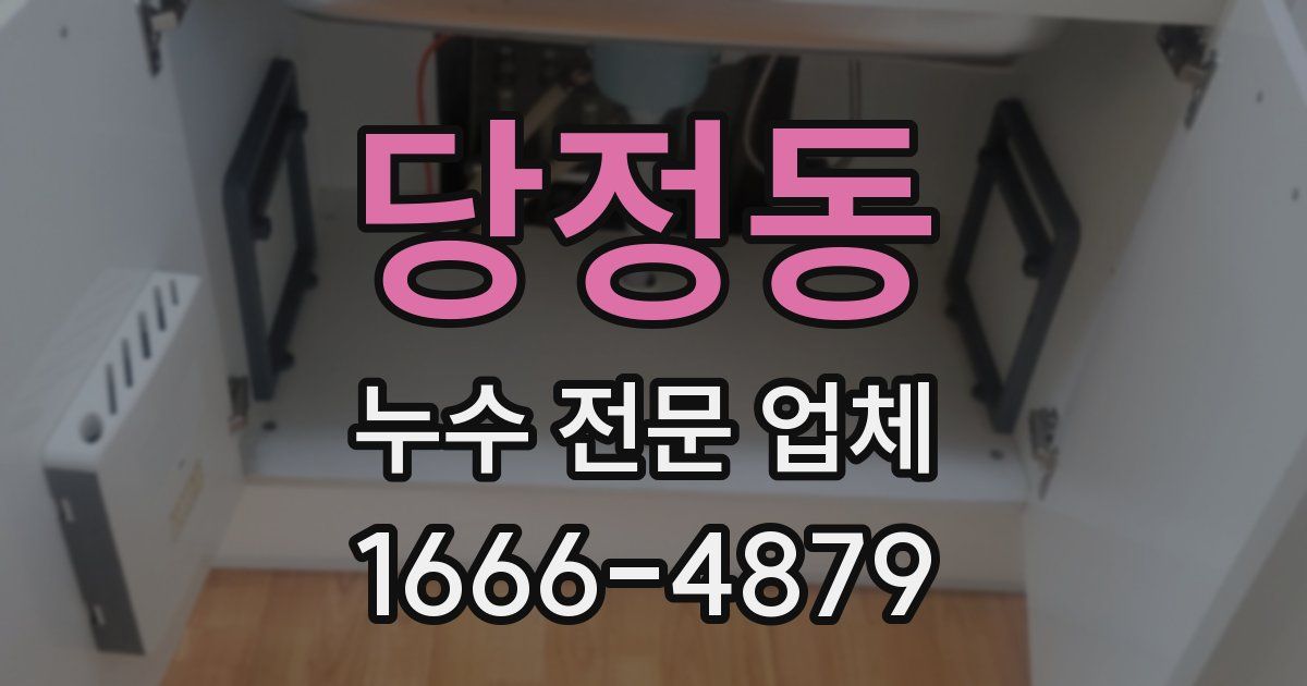 당정동 누수 전문 업체
