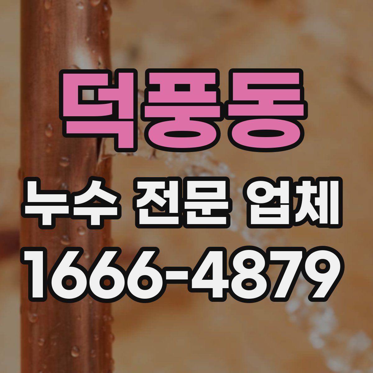 덕풍동 누수 전문 업체