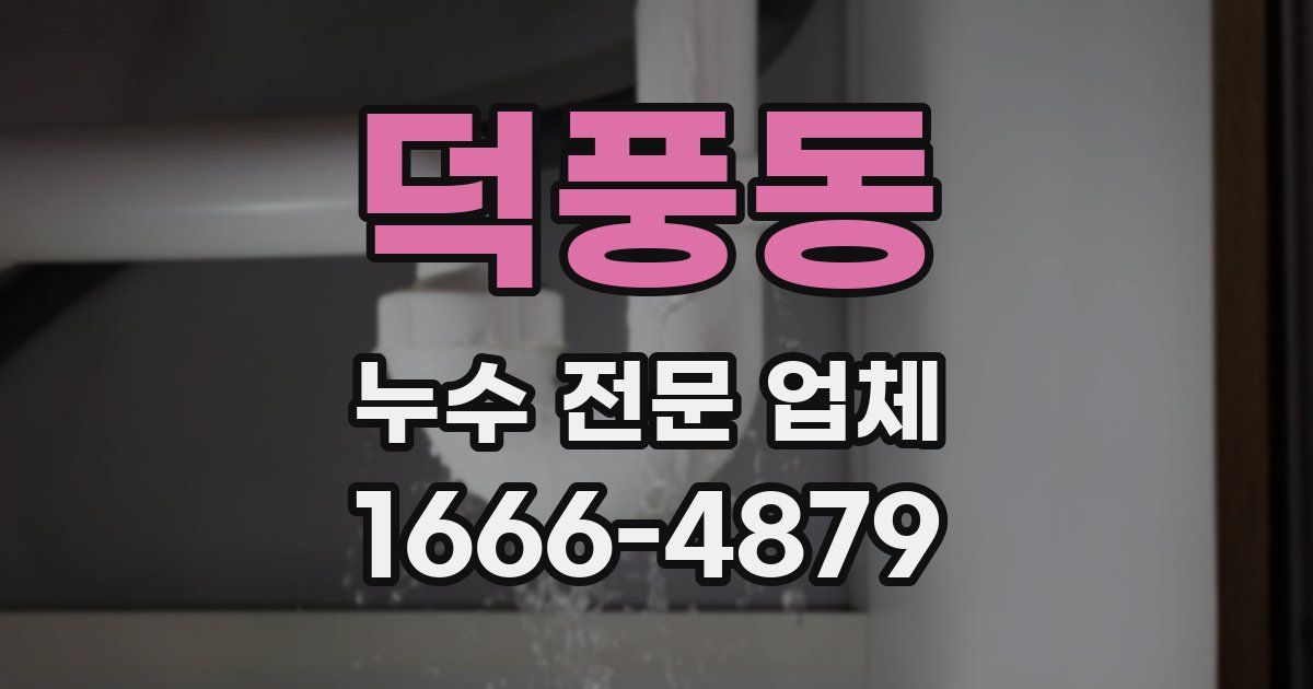 덕풍동 누수 전문 업체